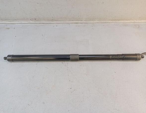 Bootlid (Tailgate) Gas Strut Spring PORSCHE CAYENNE (92A)