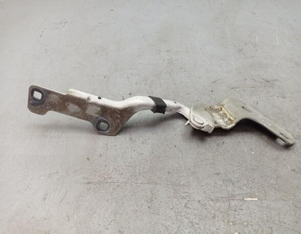 Bonnet Hinge RENAULT Clio III (BR0/1, CR0/1), RENAULT Clio IV (BH)