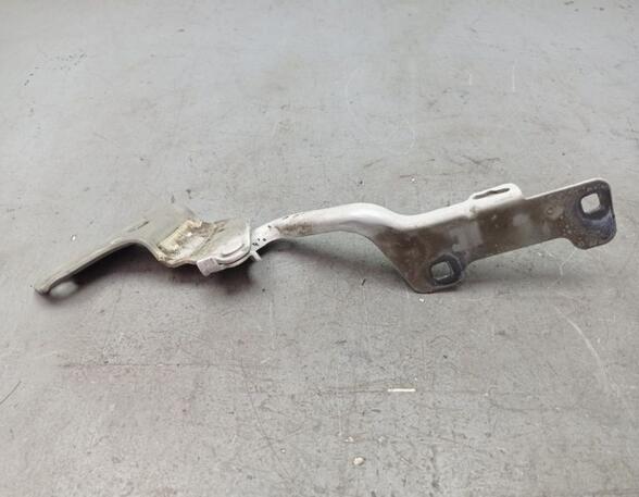 Bonnet Hinge RENAULT Clio III (BR0/1, CR0/1), RENAULT Clio IV (BH)