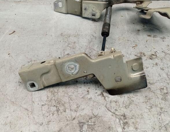 Bonnet Hinge RENAULT ZOE (BFM_)