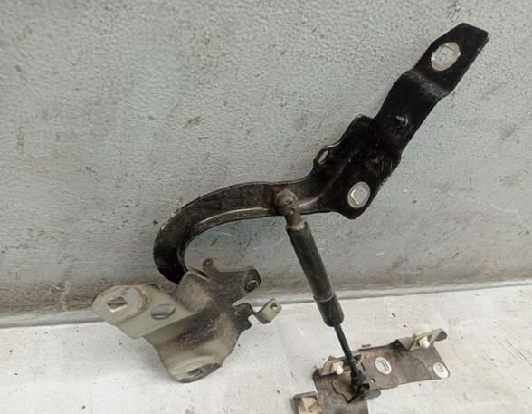 Bonnet Hinge RENAULT ZOE (BFM_)