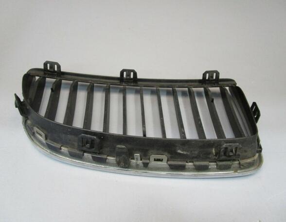 Radiator Grille BMW 3er (E90)