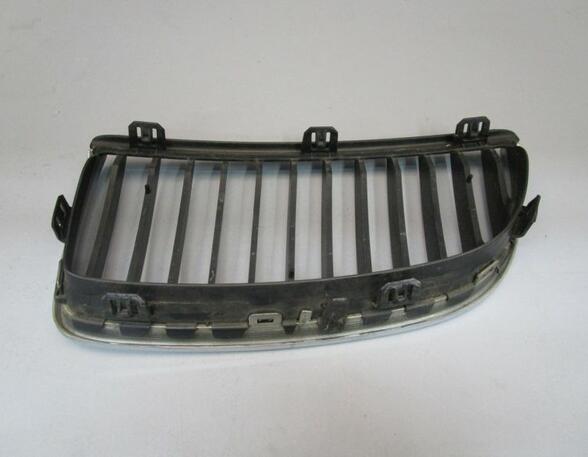 Radiateurgrille BMW 3er (E90)