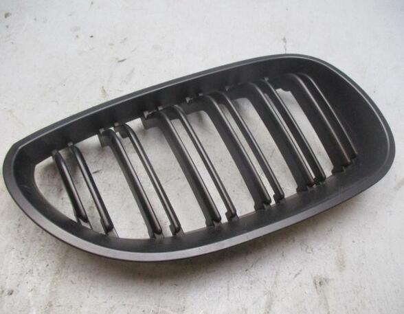 Radiator Grille BMW 5er (E60)