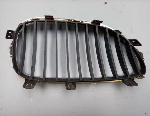 Radiateurgrille BMW 5er (E60)