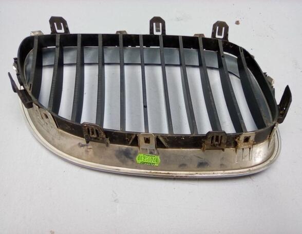 Radiateurgrille BMW 5er (E60)