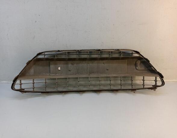 Radiator Grille FORD Fiesta VI (CB1, CCN)