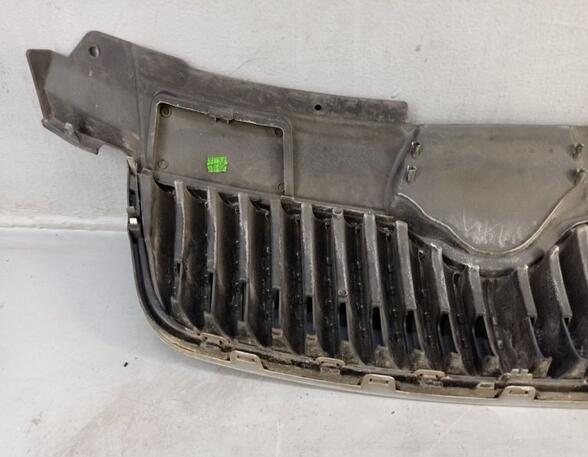 Radiator Grille SKODA Fabia II Combi (545)