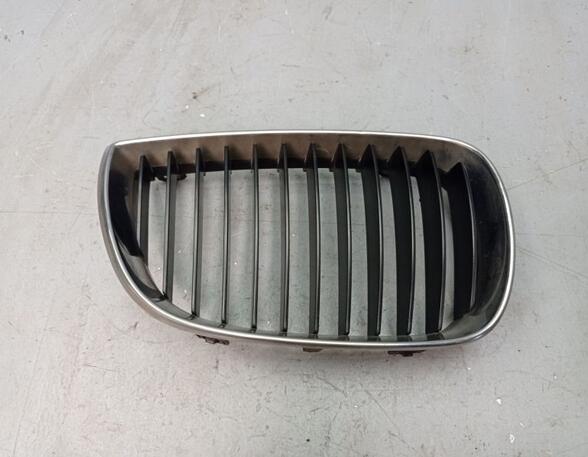 Radiator Grille BMW 1er (E87)