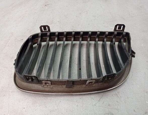 Radiateurgrille BMW 1er (E87)