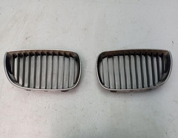 Radiateurgrille BMW 1er (E87)