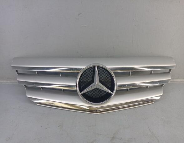 Radiator Grille MERCEDES-BENZ B-Klasse (W245)