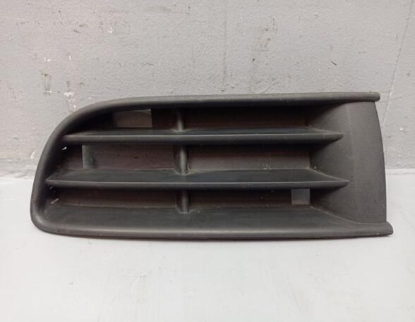 Radiator Grille VW Polo (9N)