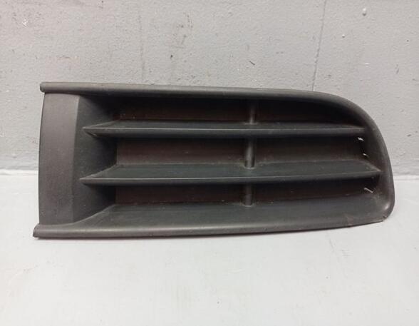 Radiator Grille VW Polo (9N)