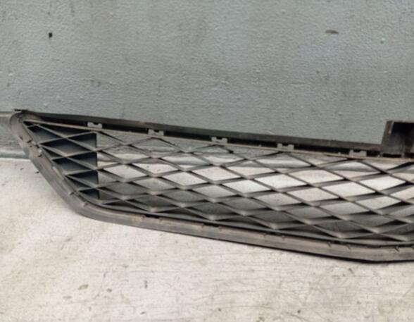 Radiateurgrille MERCEDES-BENZ B-Klasse (W245)