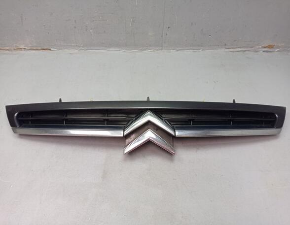 Radiator Grille CITROËN C8 (EA_, EB_)