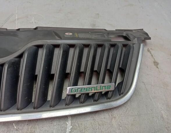 Radiateurgrille SKODA FABIA II Combi (545)