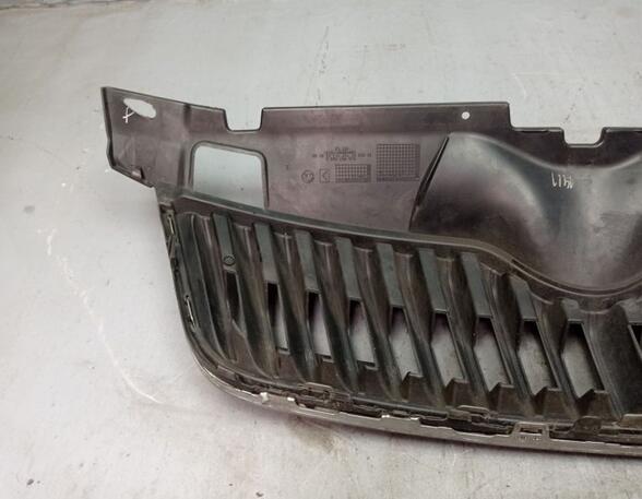 Radiateurgrille SKODA FABIA II Combi (545)