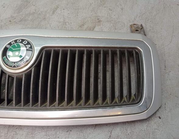 Radiator Grille SKODA FABIA I (6Y2)