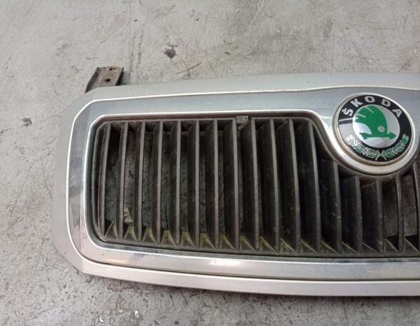 Radiator Grille SKODA FABIA I (6Y2)