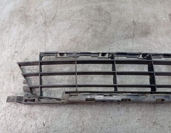 Radiator Grille PEUGEOT 207 (WA_, WC_)