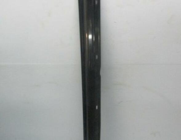 Sill Trim MERCEDES-BENZ A-Klasse (W169)