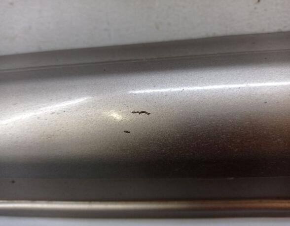 Sill Trim MERCEDES-BENZ B-Klasse (W245)