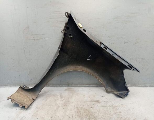 Spatbord RENAULT CLIO III (BR0/1, CR0/1)