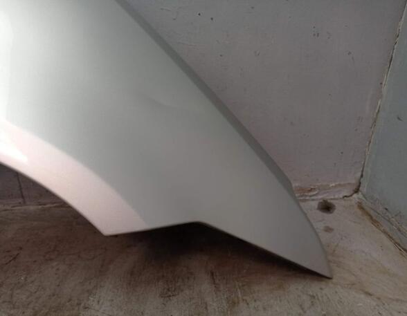 Spatbord FORD FOCUS C-MAX (DM2)