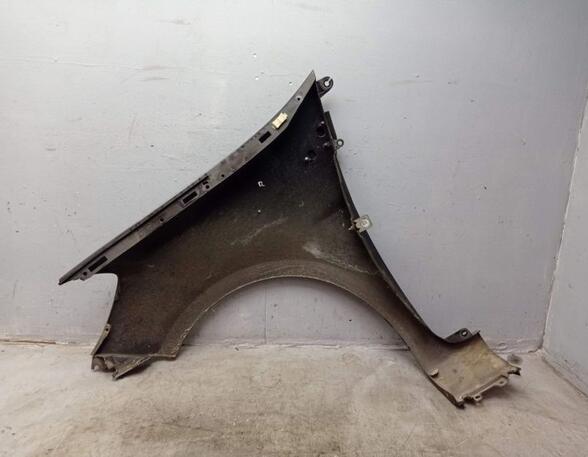 Spatbord RENAULT CLIO III (BR0/1, CR0/1), RENAULT CLIO IV (BH_)