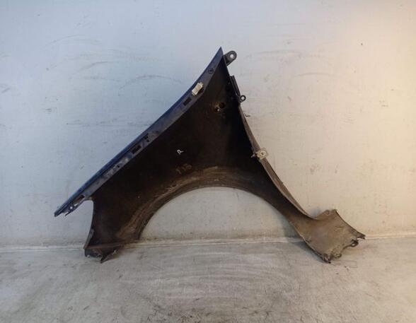 Spatbord RENAULT CLIO III (BR0/1, CR0/1)