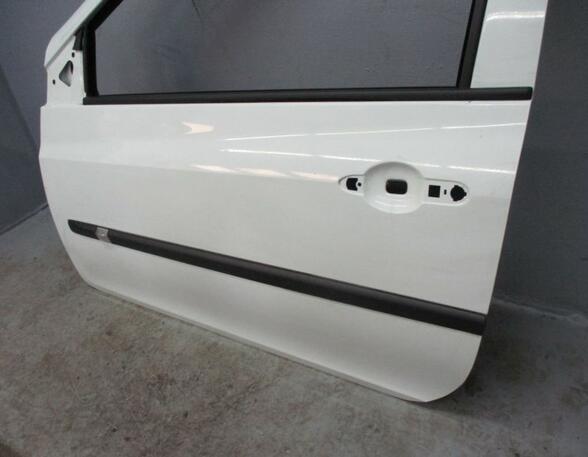 Door RENAULT Clio III (BR0/1, CR0/1)