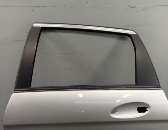 Door MERCEDES-BENZ B-Klasse (W245)