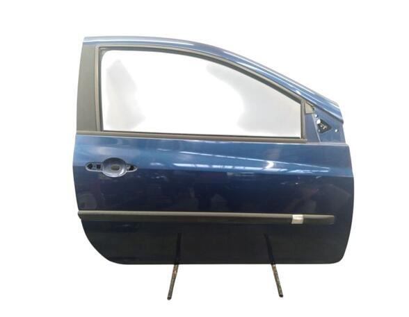 Door RENAULT CLIO III (BR0/1, CR0/1)