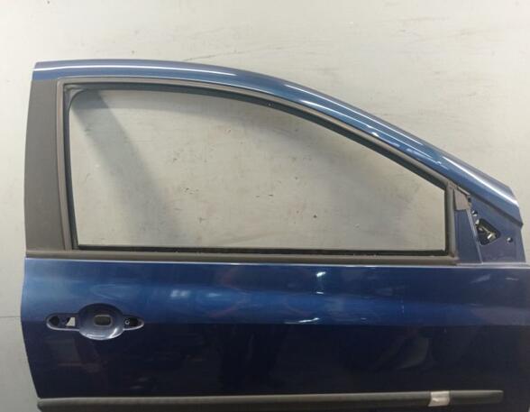 Door RENAULT CLIO III (BR0/1, CR0/1)