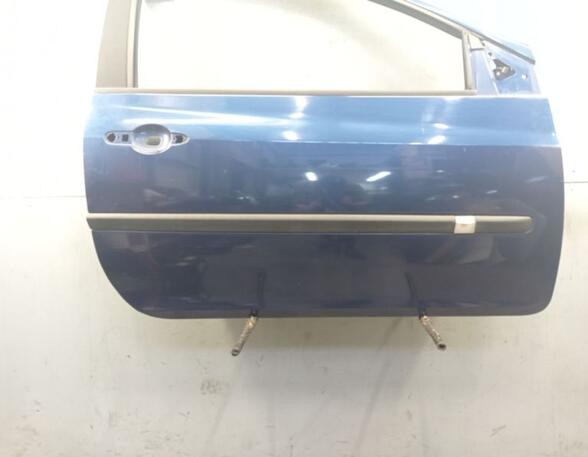 Door RENAULT CLIO III (BR0/1, CR0/1)