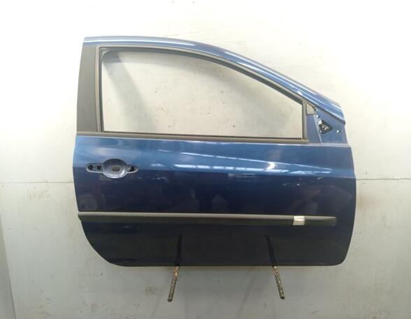 Door RENAULT CLIO III (BR0/1, CR0/1)