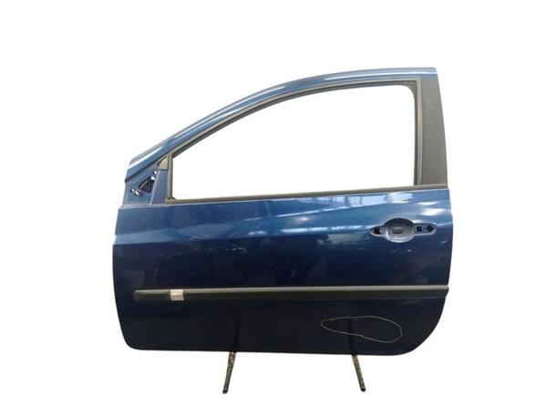 Door RENAULT CLIO III (BR0/1, CR0/1)