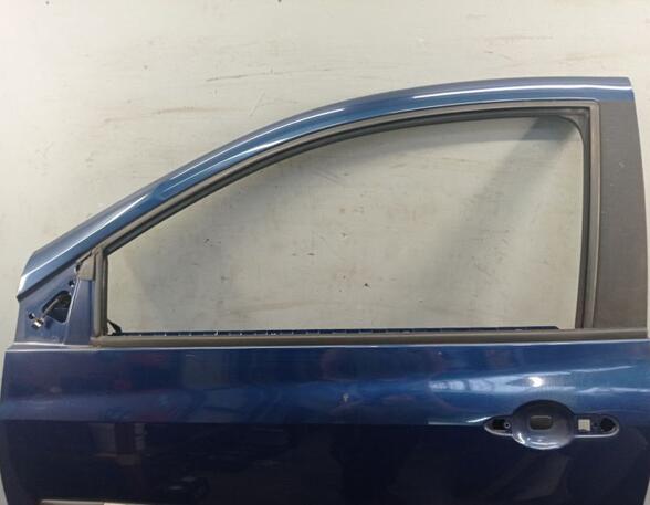 Door RENAULT CLIO III (BR0/1, CR0/1)