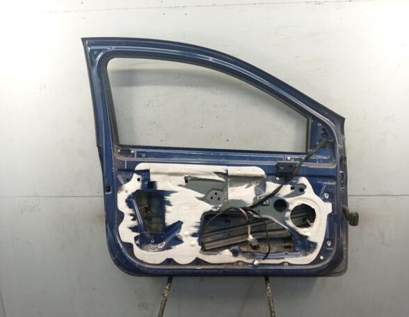 Door RENAULT CLIO III (BR0/1, CR0/1)