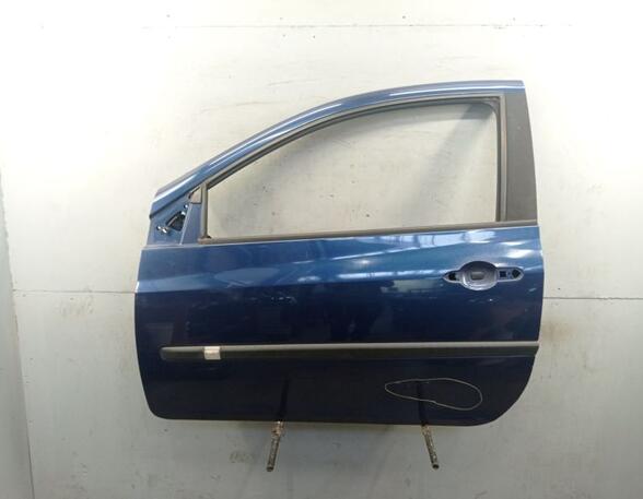 Door RENAULT CLIO III (BR0/1, CR0/1)