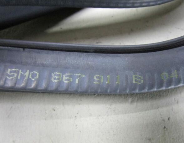 Door Seal VW Golf Plus (521, 5M1)