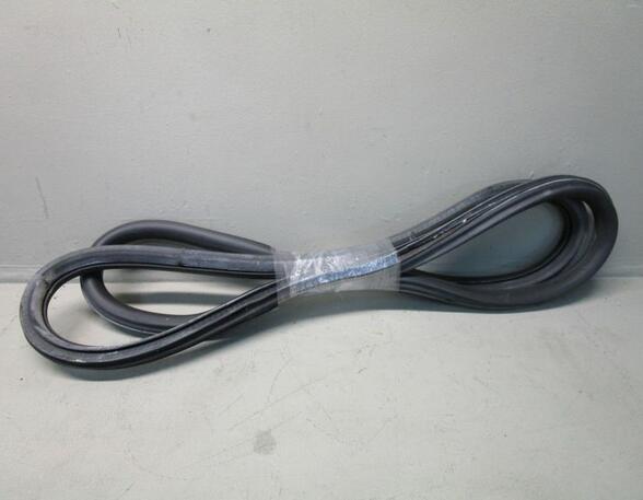 Door Seal VW Passat (3B3)