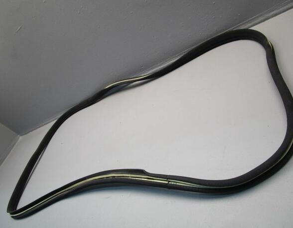 Door Seal MERCEDES-BENZ S-Klasse (W220)