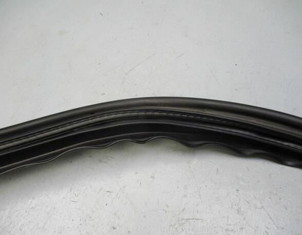 Door Seal SKODA Roomster (5J)