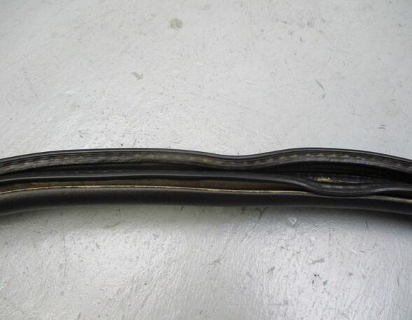 Door Seal SKODA Roomster (5J)