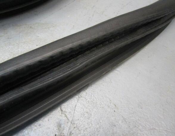 Door Seal MERCEDES-BENZ A-Klasse (W169)