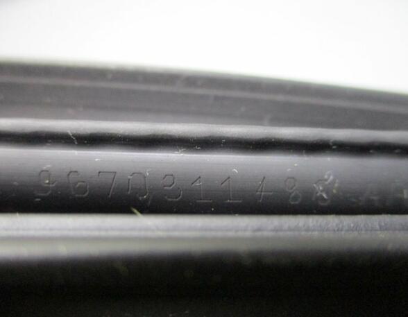 Door Seal CITROËN C3 II (SC)