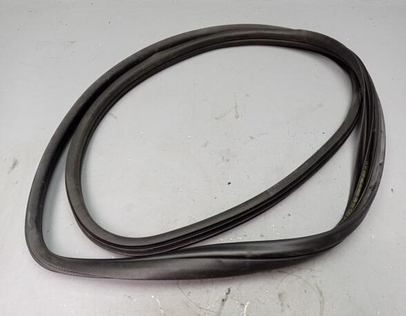 Door Seal FIAT 500 (312), FIAT 500 C (312)