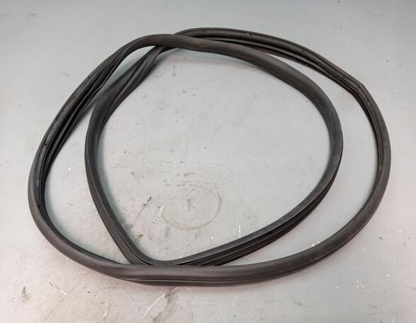 Door Seal FIAT 500 (312), FIAT 500 C (312)